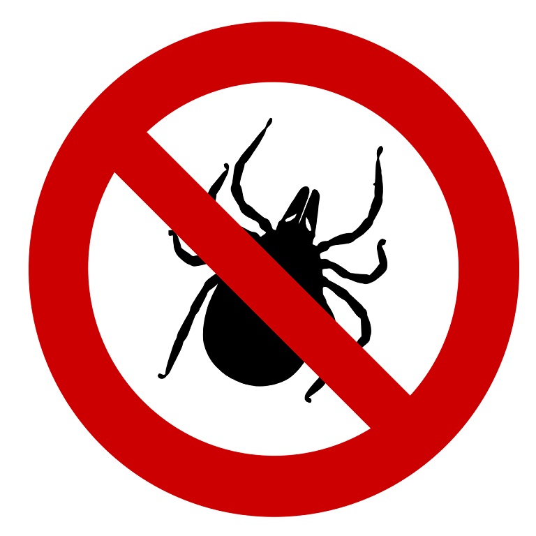 Home Remedies to remove ticks on dogs